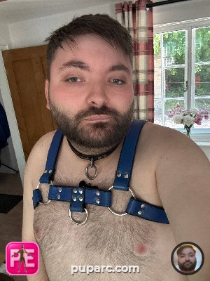 All — Pup Arc