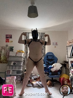 All — Pup Arc